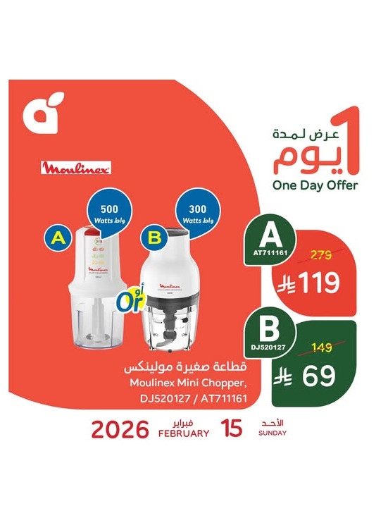 عرض اليوم الواحد