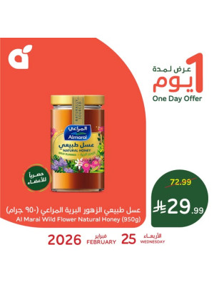 One Day Offer