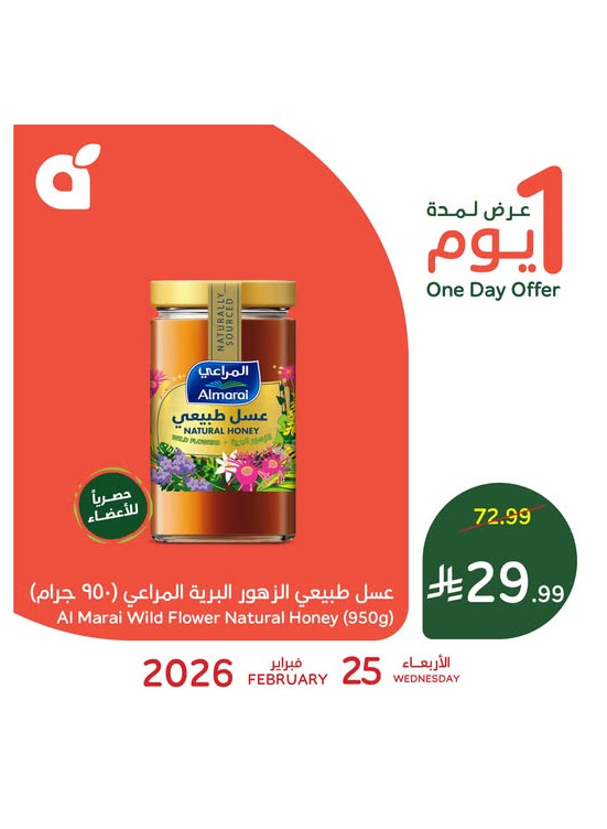 عرض اليوم الواحد
