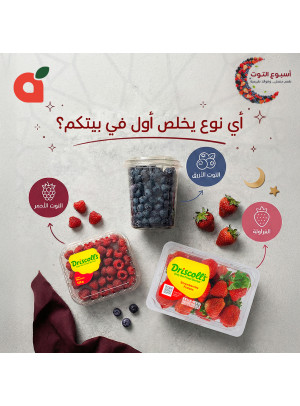 Berry Week Offers, Vol 2