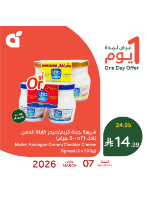 One Day Offer