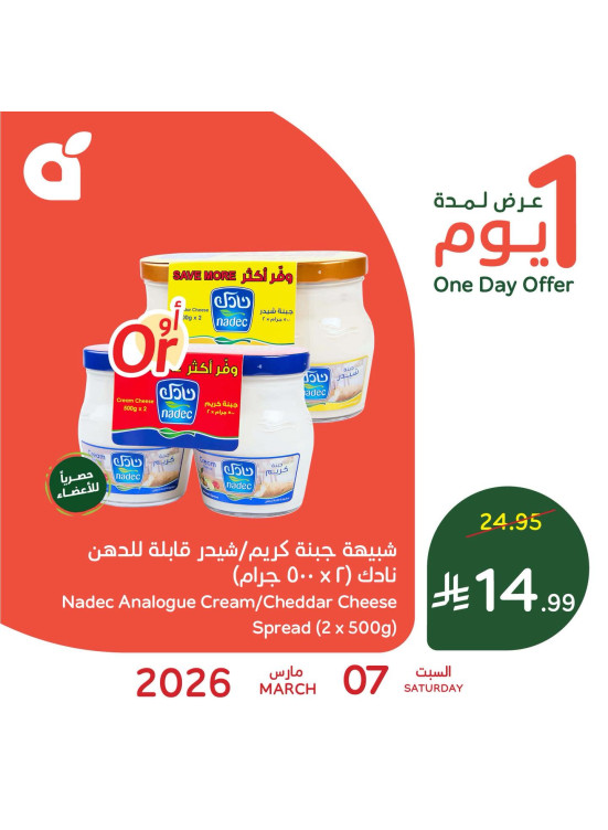 عرض اليوم الواحد
