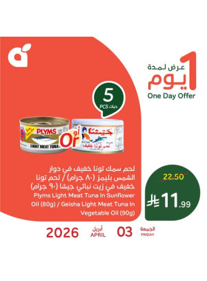 عرض اليوم الواحد