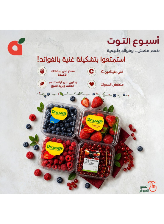 Berry Week Offers, Vol 2