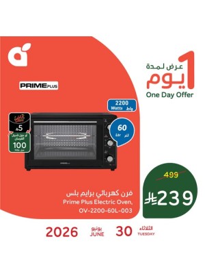 عرض اليوم الواحد