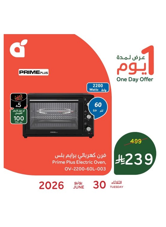 One Day Offer