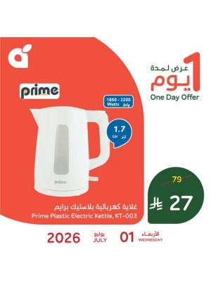 عرض اليوم الواحد