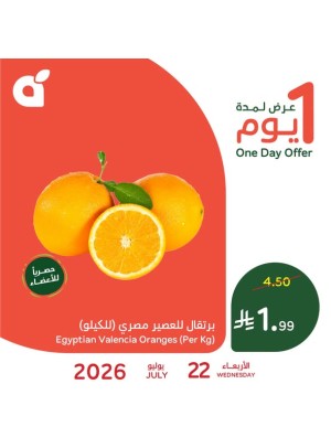 عرض اليوم الواحد