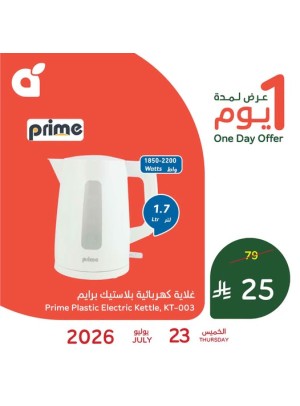 عرض اليوم الواحد
