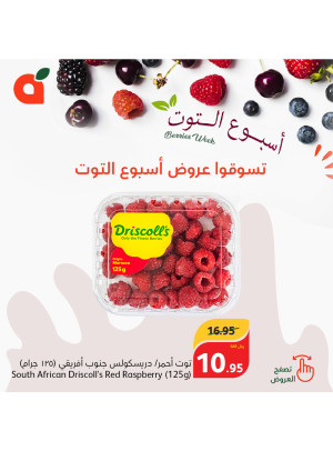 أسبوع التوت