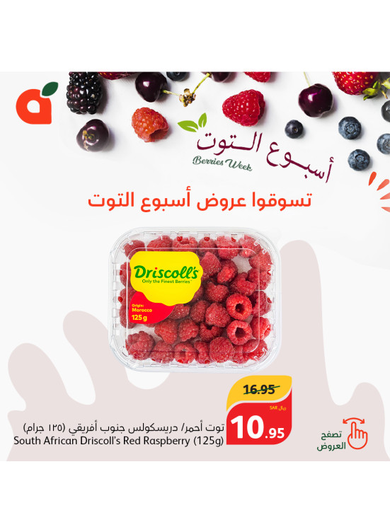 أسبوع التوت