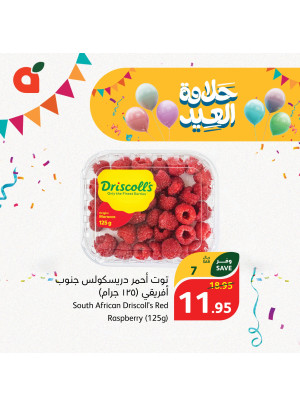 عروض حلاوة العيد، العدد الثاني عشر