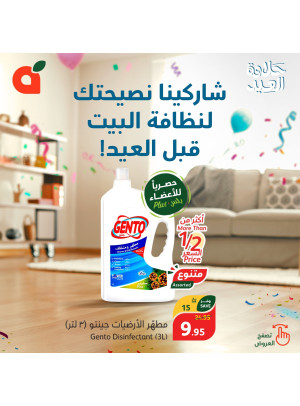 عروض حلاوة العيد، العدد الثالث عشر