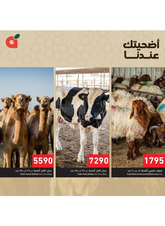 عروض أضاحي العيد
