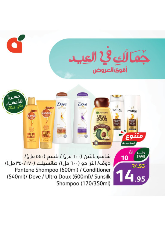 عروض الجمال، العدد الثاني