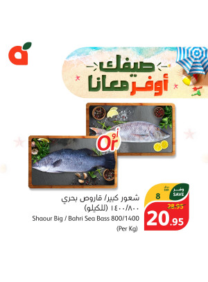 Summer Saving Offers, Vol 12
