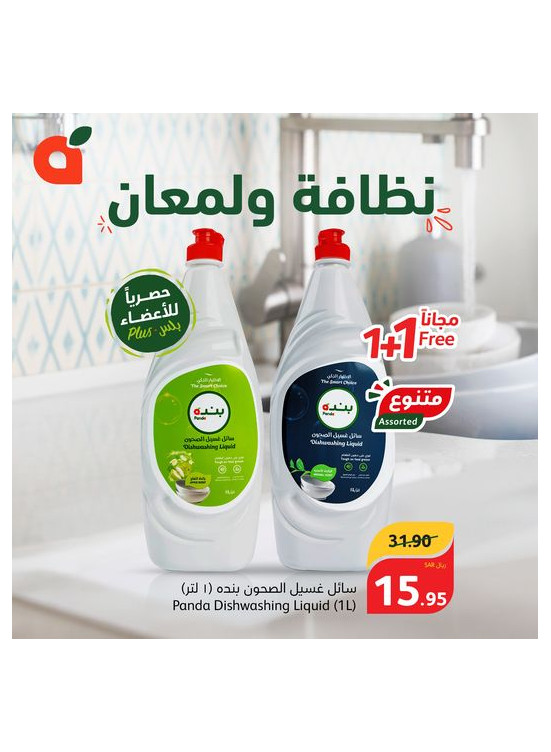 Dish Wash Offer