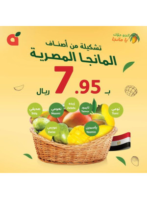 Mango Offer