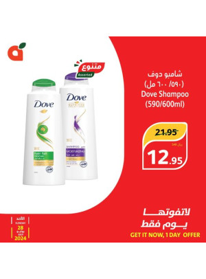 Today's Offer