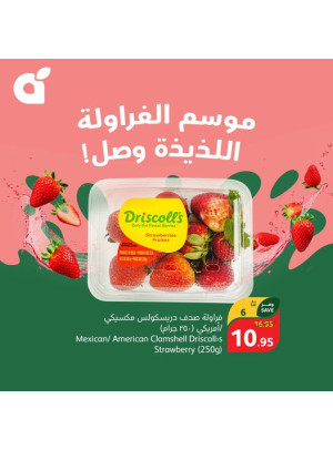 عرض الفراولة