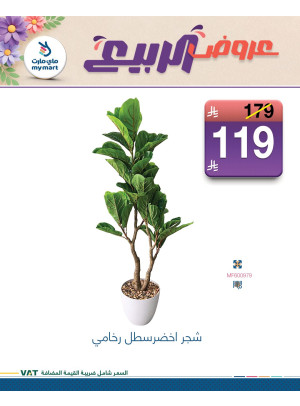 عروض الربيع، العدد الخامس