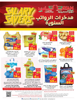 مدخرات الرواتب السنوية