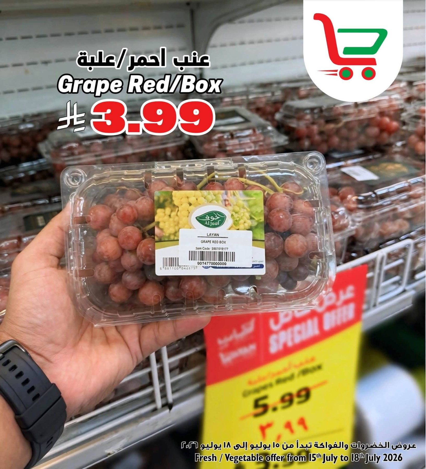 Fresh Deal from Layan Hyper until 18th July - Layan Hyper KSA Offers & Promotions — page 3