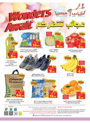 عجائب الصفقات