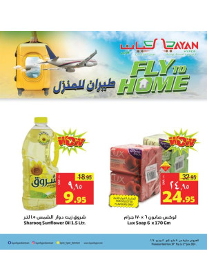 عروض طيران للمنزل، العدد السابع