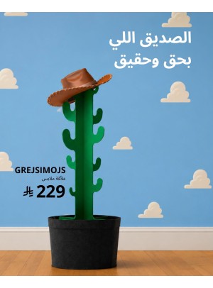 عروض خاصة