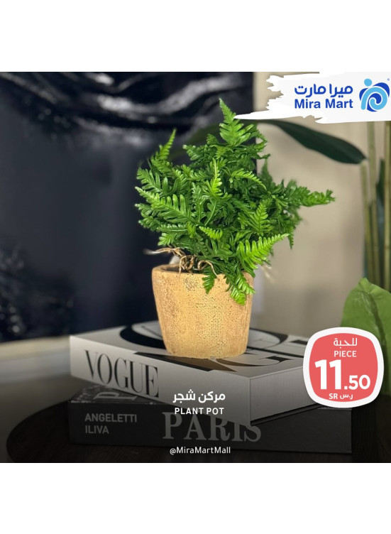 December's Offers, Vol 7