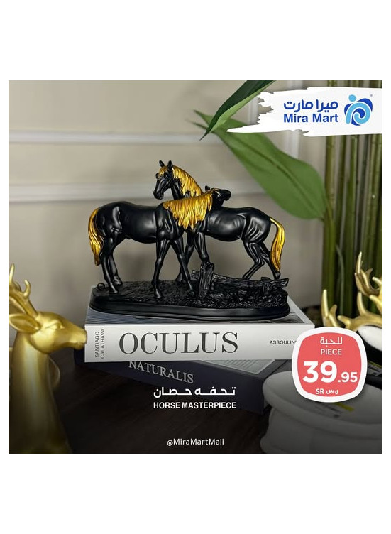 December's Offers, Vol 11