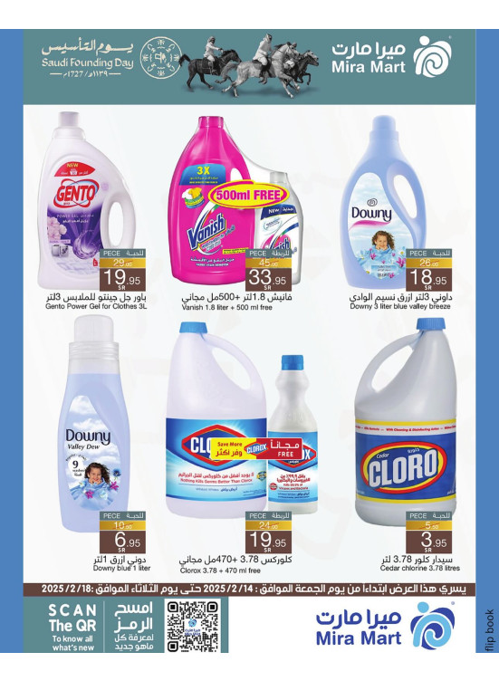 Saudi Foundation Day Offers, Vol 5