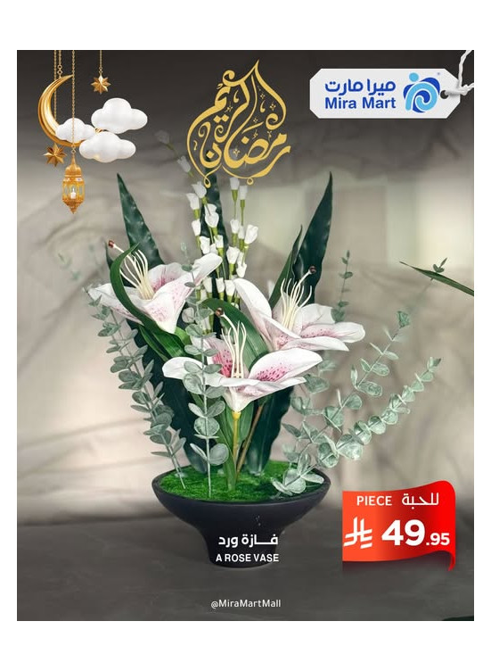 عروض شهر الخير، العدد الثامن