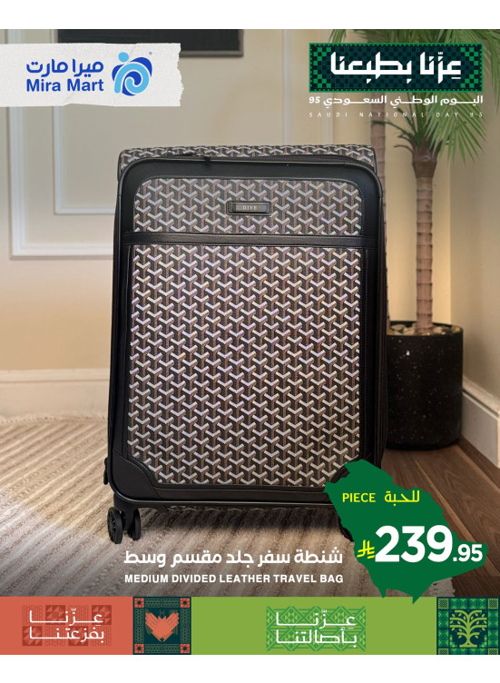 عروض اليوم الوطني، العدد السابع