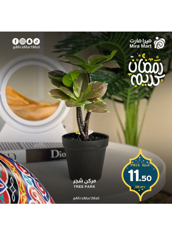 عروض مراكن الزهور الزجاج