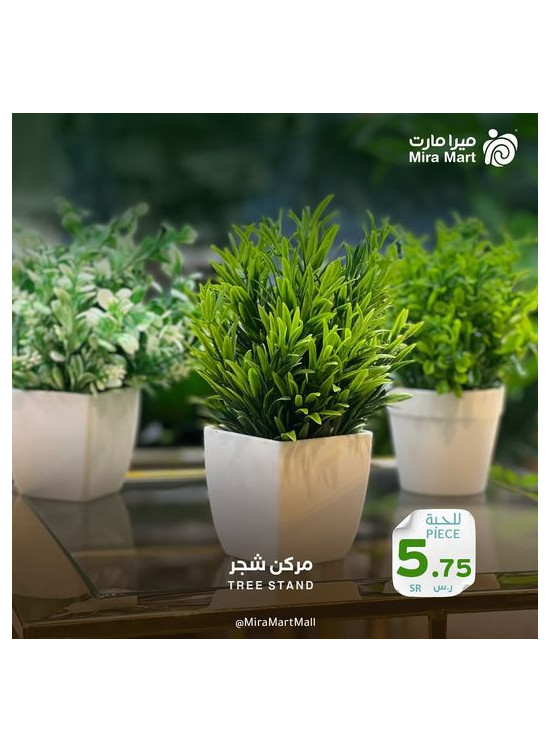 عروض جديدة