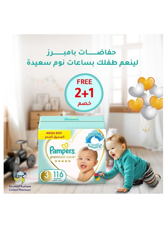 عروض مايو، العدد السادس