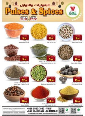 Pulses Fest  - Taif & Makkah