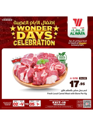 احتفال الأيام العجيبة، العدد العشرون - المخرج 16