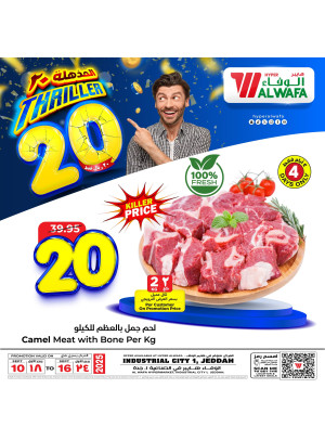 Thriller 20 Sar Offers, Vol 2 - Industrial City 1, Jeddah