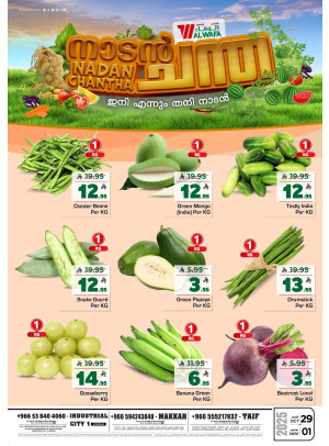 Nadan Chantha - Al Taif, Jeddah, and Makkah