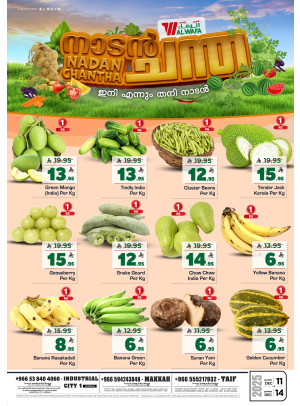 Nadan Deals - Jeddah, Makkah & Taif