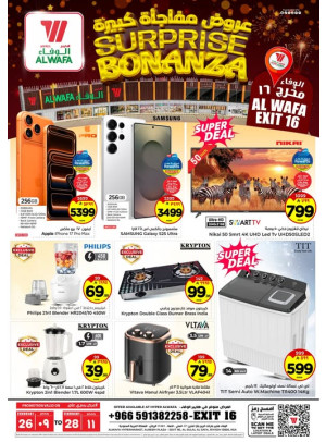 Surprise Bonanza Deals - Exit 16