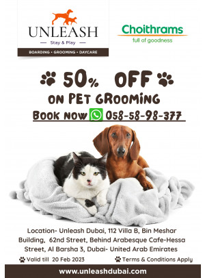 50% Off on Pet Grooming