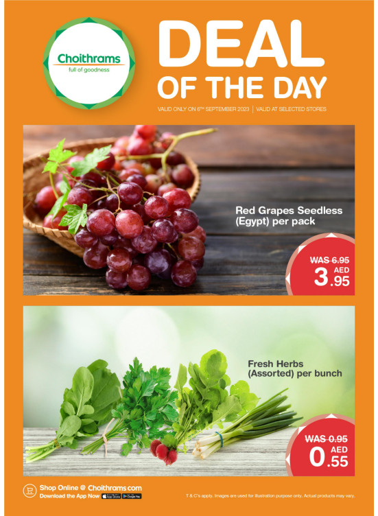 Deal of The Day