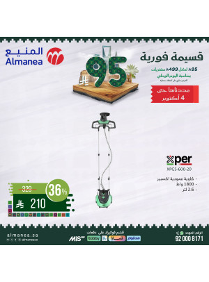 Saudi National Day Offers on Irons