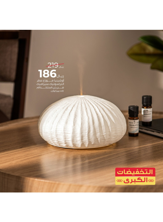 التخفيضات الكبرى، العدد التاسع والعشرون