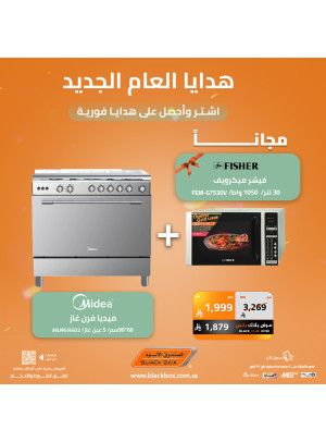 New Year's Deals on Large Home Appliances, Vol 3