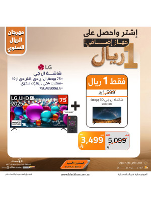 The Annual One Riyal Festival on Screens, Vol 2